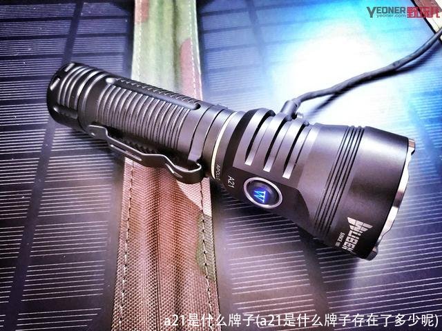 a21是什么牌子(a21是什么牌子存在了多少呢)