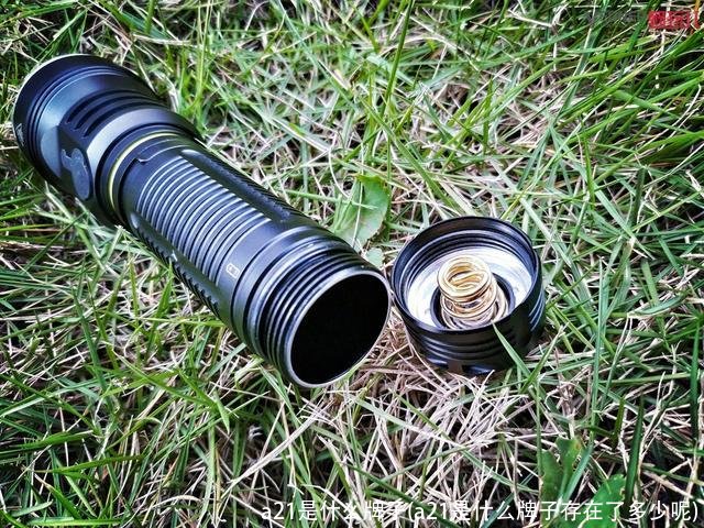 a21是什么牌子(a21是什么牌子存在了多少呢)