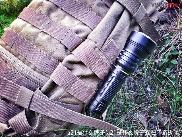 a21是什么牌子(a21是什么牌子存在了多少呢)