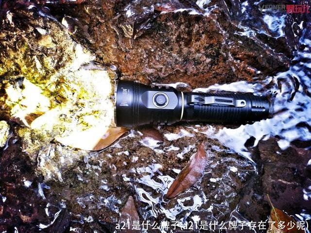 a21是什么牌子(a21是什么牌子存在了多少呢)