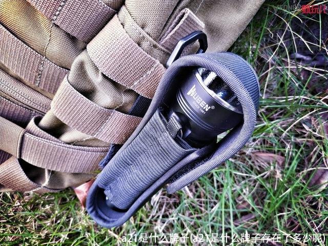 a21是什么牌子(a21是什么牌子存在了多少呢)