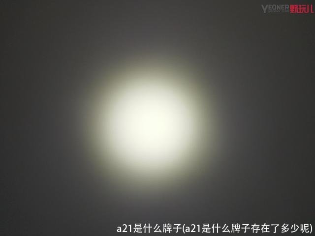 a21是什么牌子(a21是什么牌子存在了多少呢)