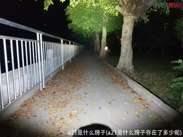 a21是什么牌子(a21是什么牌子存在了多少呢)