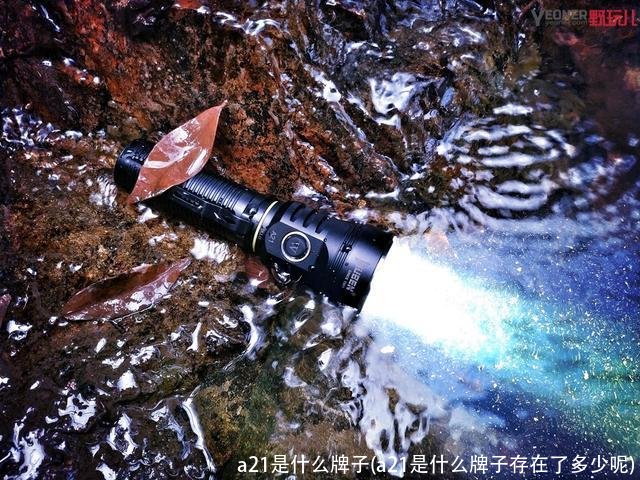 a21是什么牌子(a21是什么牌子存在了多少呢)