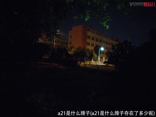 a21是什么牌子(a21是什么牌子存在了多少呢)