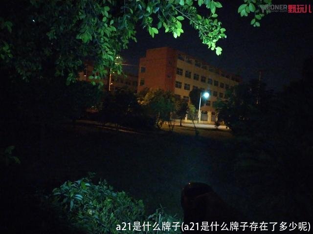 a21是什么牌子(a21是什么牌子存在了多少呢)