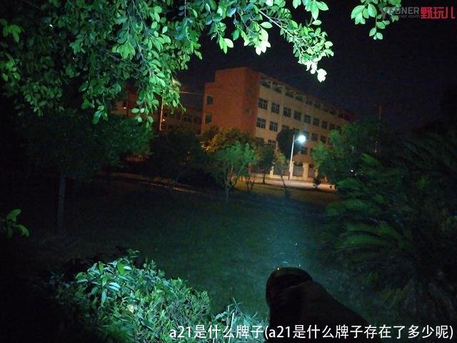 a21是什么牌子(a21是什么牌子存在了多少呢)