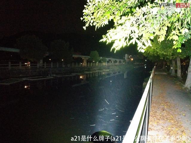 a21是什么牌子(a21是什么牌子存在了多少呢)