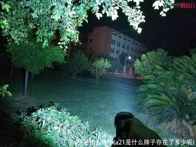 a21是什么牌子(a21是什么牌子存在了多少呢)