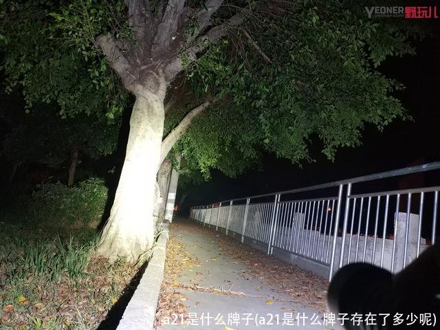 a21是什么牌子(a21是什么牌子存在了多少呢)