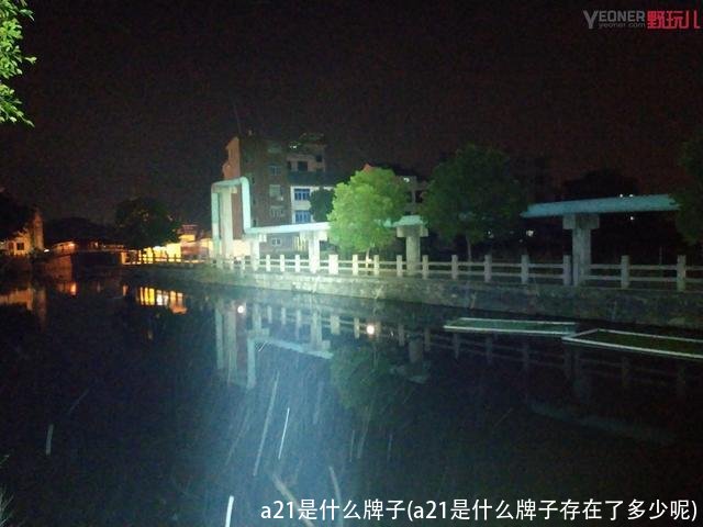 a21是什么牌子(a21是什么牌子存在了多少呢)