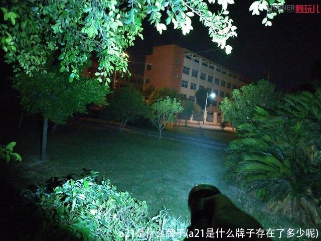 a21是什么牌子(a21是什么牌子存在了多少呢)