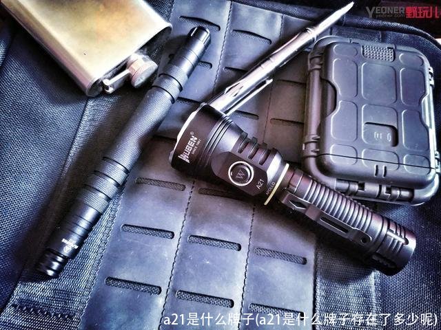a21是什么牌子(a21是什么牌子存在了多少呢)