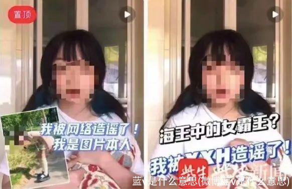 蓝v是什么意思(微博蓝v是什么意思)