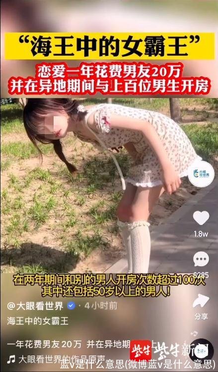 蓝v是什么意思(微博蓝v是什么意思)