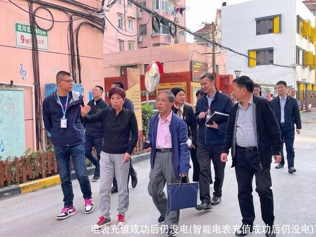 电表充值成功后仍没电(智能电表充值成功后仍没电)