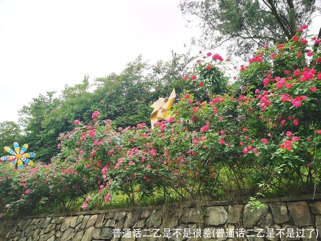 普通话二乙是不是很差(普通话二乙是不是过了)