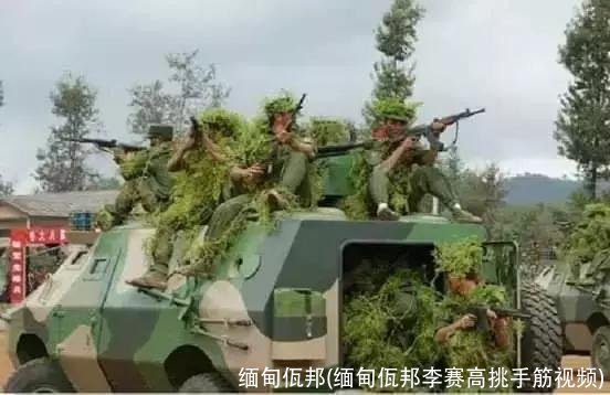 缅甸佤邦(缅甸佤邦李赛高挑手筋视频)