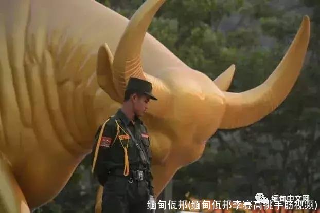 缅甸佤邦(缅甸佤邦李赛高挑手筋视频)