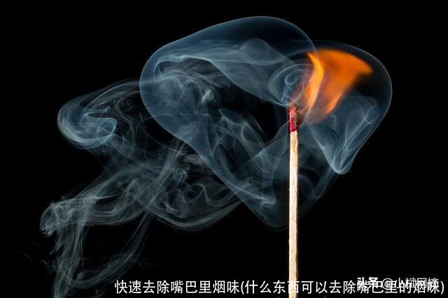 快速去除嘴巴里烟味(什么东西可以去除嘴巴里的烟味)