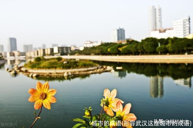 城市的成语(形容武汉这座城市的成语)