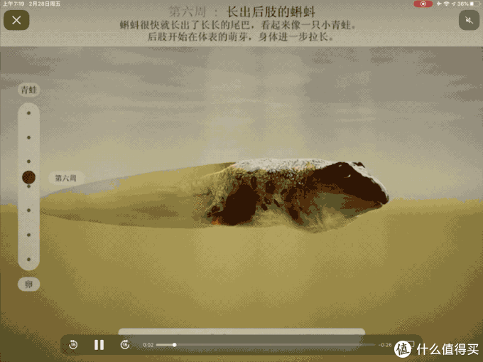 ipad的计算器在哪里(ipad的计算器在哪里找打开ipad计算器的方法)