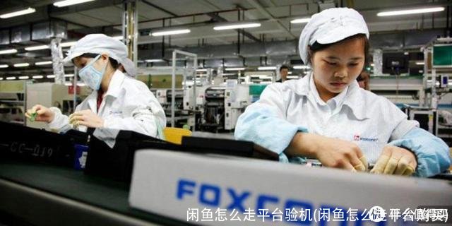 闲鱼怎么走平台验机(闲鱼怎么走平台购买)