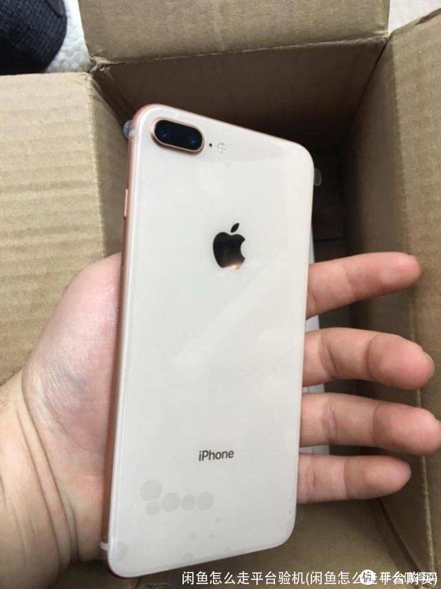 闲鱼怎么走平台验机(闲鱼怎么走平台购买)