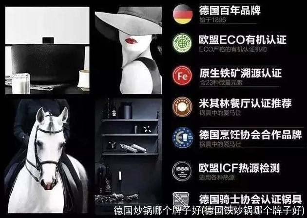 德国炒锅哪个牌子好(德国铁炒锅哪个牌子好)
