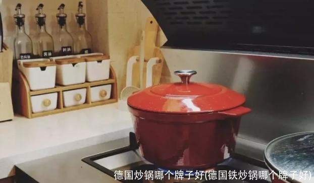 德国炒锅哪个牌子好(德国铁炒锅哪个牌子好)