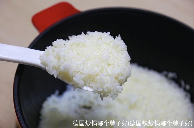 德国炒锅哪个牌子好(德国铁炒锅哪个牌子好)