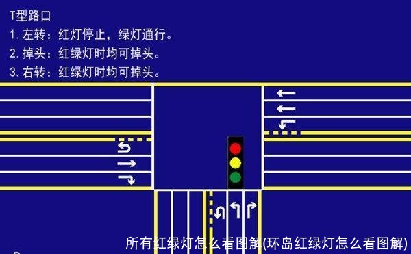 所有红绿灯怎么看图解(环岛红绿灯怎么看图解)