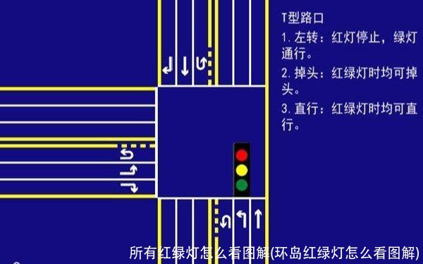 所有红绿灯怎么看图解(环岛红绿灯怎么看图解)