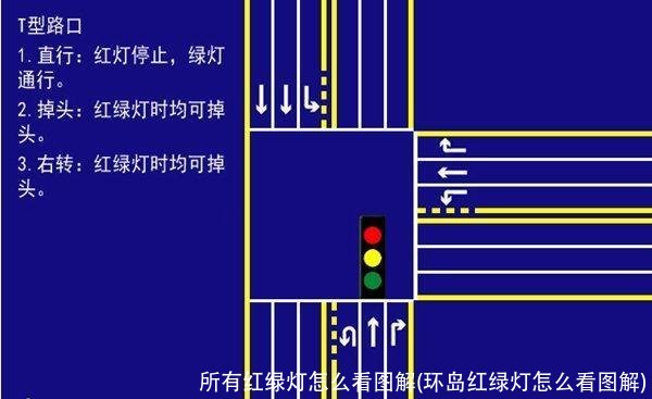 所有红绿灯怎么看图解(环岛红绿灯怎么看图解)