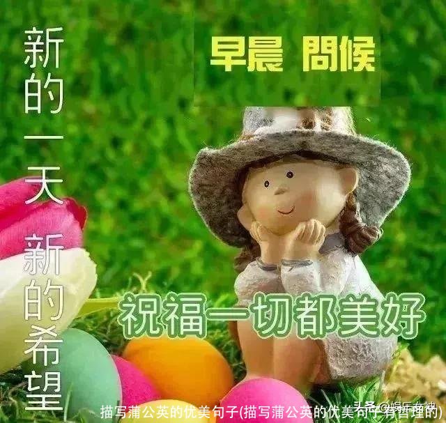 描写蒲公英的优美句子(描写蒲公英的优美句子有哲理的)