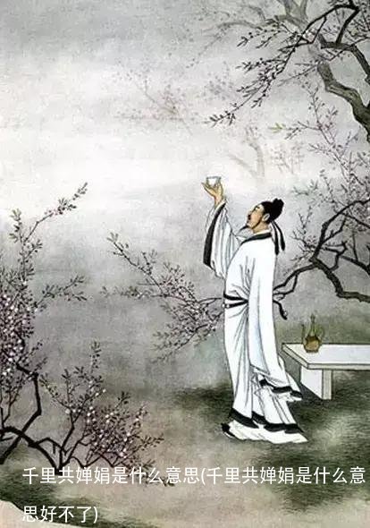 千里共婵娟是什么意思(千里共婵娟是什么意思好不了)