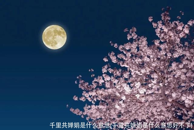 千里共婵娟是什么意思(千里共婵娟是什么意思好不了)