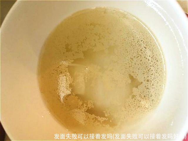 发面失败可以接着发吗(发面失败可以接着发吗好像)