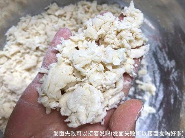 发面失败可以接着发吗(发面失败可以接着发吗好像)