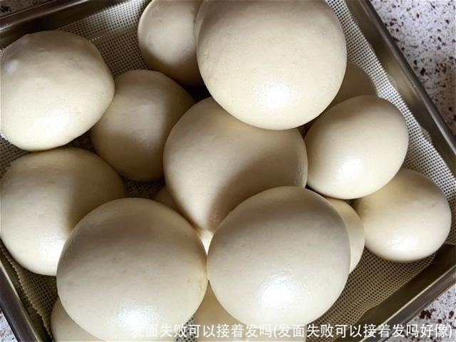 发面失败可以接着发吗(发面失败可以接着发吗好像)