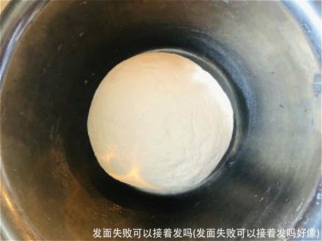 发面失败可以接着发吗(发面失败可以接着发吗好像)