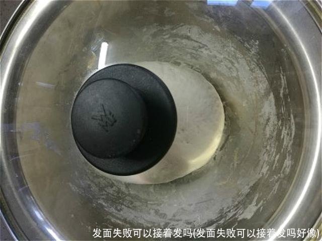 发面失败可以接着发吗(发面失败可以接着发吗好像)