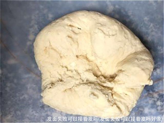 发面失败可以接着发吗(发面失败可以接着发吗好像)