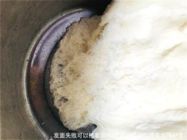 发面失败可以接着发吗(发面失败可以接着发吗好像)
