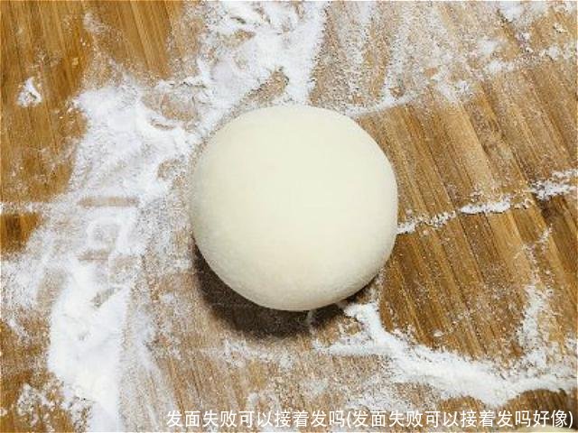 发面失败可以接着发吗(发面失败可以接着发吗好像)