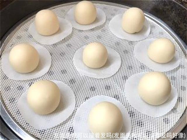 发面失败可以接着发吗(发面失败可以接着发吗好像)