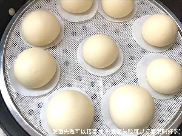 发面失败可以接着发吗(发面失败可以接着发吗好像)