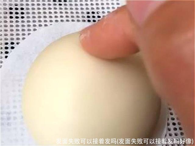 发面失败可以接着发吗(发面失败可以接着发吗好像)