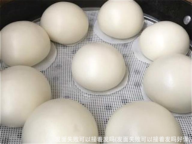 发面失败可以接着发吗(发面失败可以接着发吗好像)