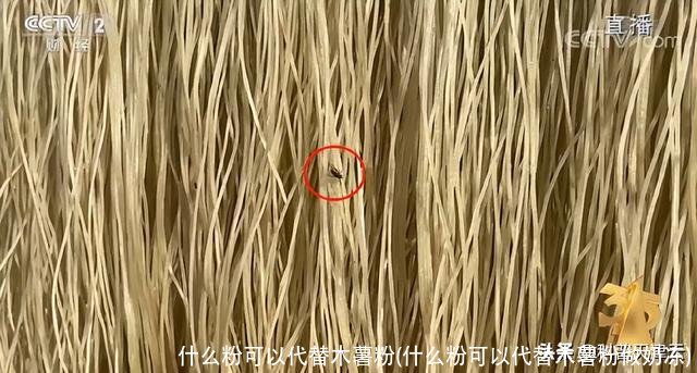 什么粉可以代替木薯粉(什么粉可以代替木薯粉做奶冻)